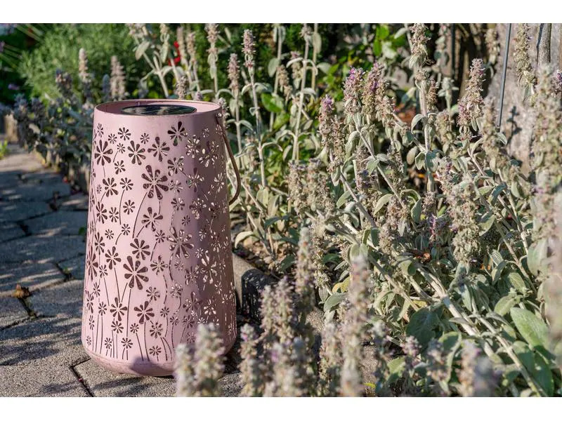 STT Laterne Solar Antic Lantern Daisy, Rosa