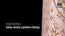 STT Laterne Solar Antic Lantern Daisy, Rosa