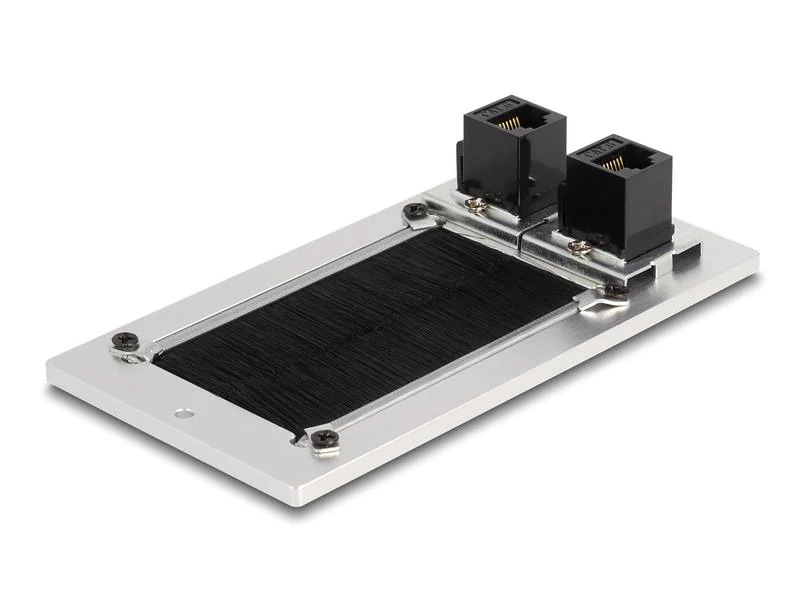 Delock Einbaurahmen mit Bürste und 2 x RJ45 Keystone Modul Cat.6