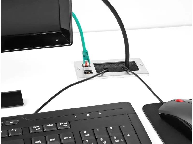 Delock Einbaurahmen mit Bürste und 2 x RJ45 Keystone Modul Cat.6