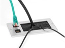 Delock Einbaurahmen mit Bürste und 2 x RJ45 Keystone Modul Cat.6