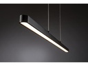 Paulmann LED Pendelleuchte URail Lento, 42 W, 2700 K, Schwarz
