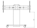 DSS Adapter VESA zu Mobilift 0049 / 0193