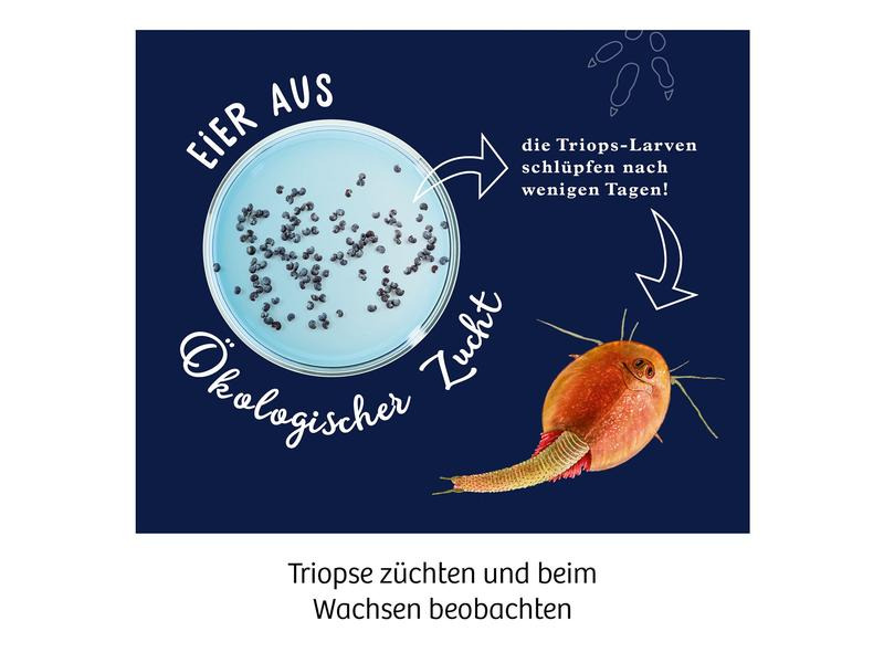Kosmos Experimentierkasten Fun Science Triops züchten
