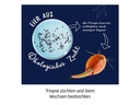 Kosmos Experimentierkasten Fun Science Triops züchten