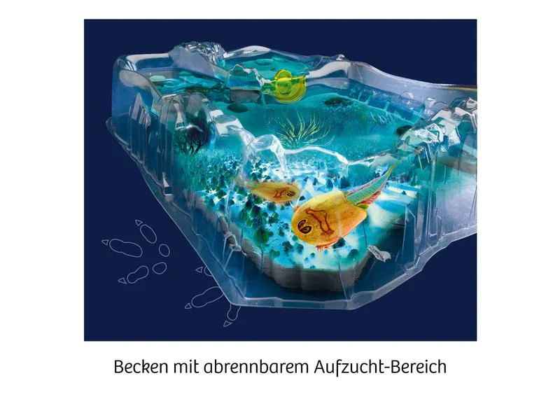 Kosmos Experimentierkasten Fun Science Triops züchten