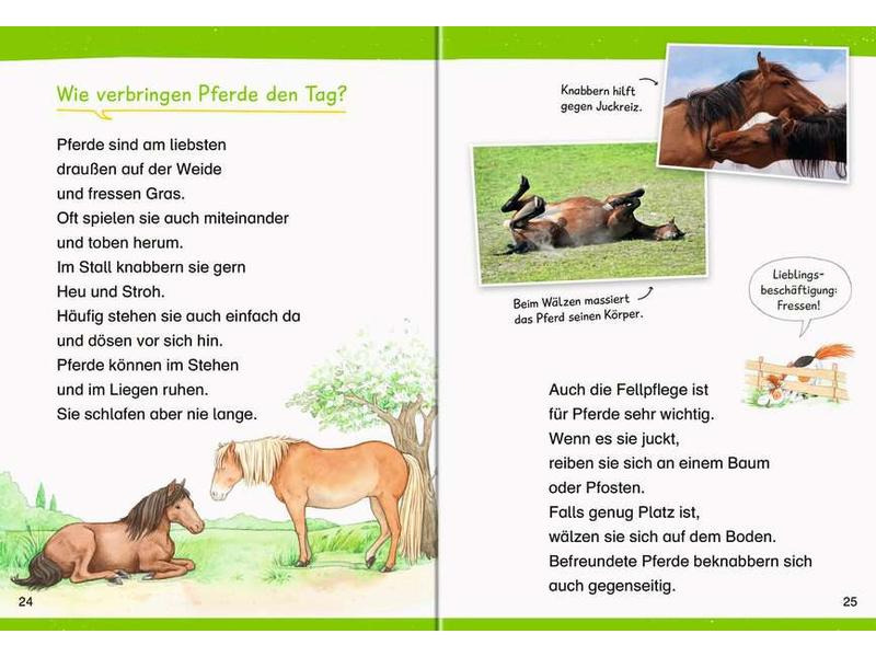 Ravensburger Kinder-Sachbuch WWW Erstleser: Pferde – Band 6