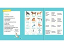 Ravensburger Kinder-Sachbuch WWW Erstleser: Pferde – Band 6