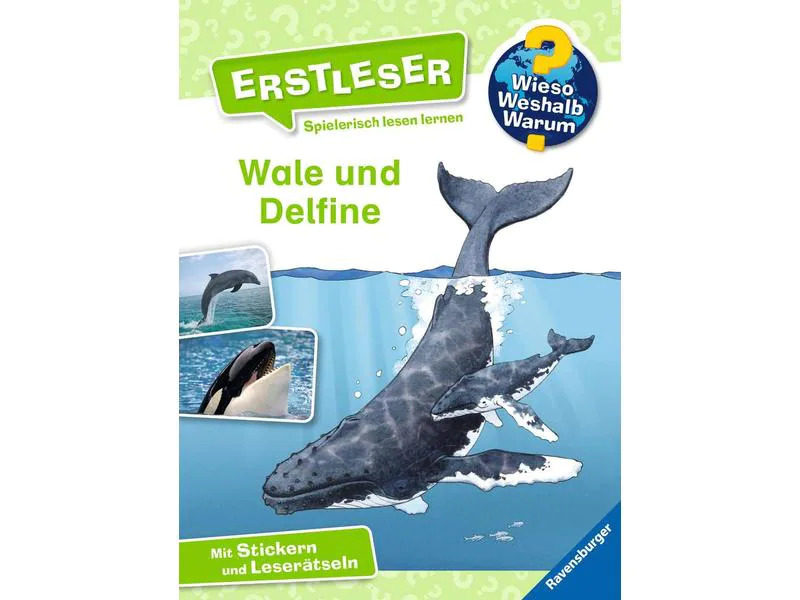 Ravensburger Kinder-Sachbuch WWW Erstleser: Wale und Delfine (Band 3)