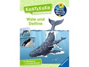 Ravensburger Kinder-Sachbuch WWW Erstleser: Wale und Delfine (Band 3)