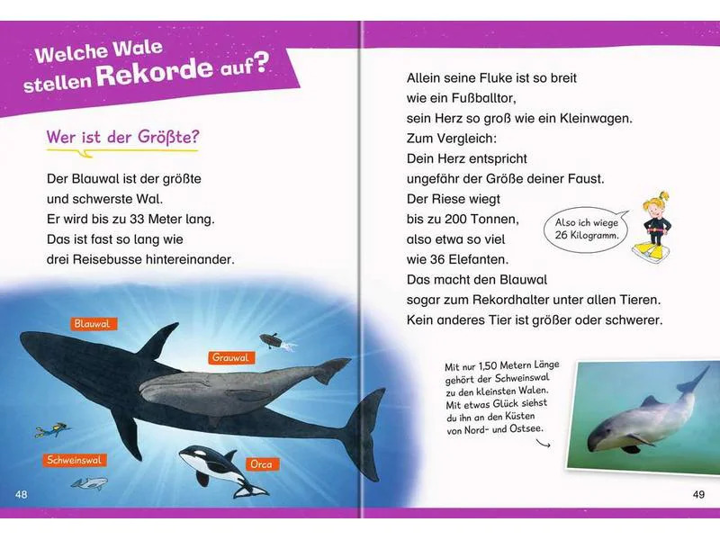 Ravensburger Kinder-Sachbuch WWW Erstleser: Wale und Delfine (Band 3)