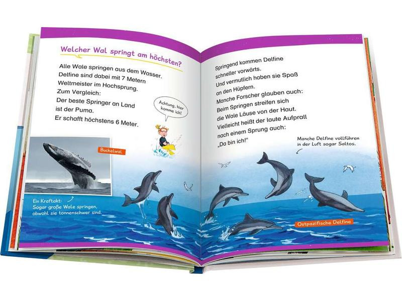 Ravensburger Kinder-Sachbuch WWW Erstleser: Wale und Delfine (Band 3)