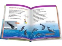 Ravensburger Kinder-Sachbuch WWW Erstleser: Wale und Delfine (Band 3)