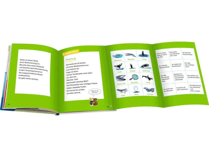Ravensburger Kinder-Sachbuch WWW Erstleser: Wale und Delfine (Band 3)