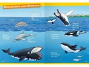 Ravensburger Kinder-Sachbuch WWW Erstleser: Wale und Delfine (Band 3)