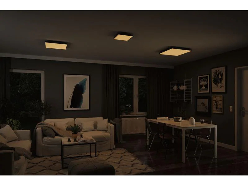 Paulmann Deckenleuchte LED Panel Velora Rainbow, 13.2W, RGBW, Schwarz