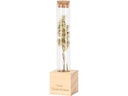 Esschert Design Vase Reagenzglas S 16.5 cm, Nature/Transparent
