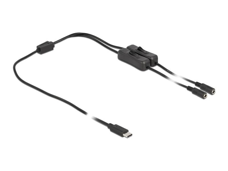 Delock Hohlstecker Kabel USB Type-C zu 2 x DC mit Schalter 1 m