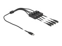 Delock Hohlstecker Kabel USB Type-C zu 4 x DC mit Schalter 1 m