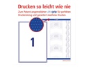 Avery Zweckform Versand-Etiketten 199.6 x 289.1 mm, 100 Blatt