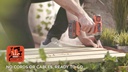 BLACK+DECKER Akku-Schlagschrauber BDCIM18N-XJ 18 V