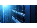 Western Digital Harddisk WD Gold 22 TB 3.5