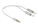 Delock Audio-Kabel Klinke 3.5mm, male - Klinke 3.5mm, female 0.25 m