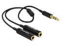 Delock Audio-Kabel Klinke 3.5mm, male - Klinke 3.5mm, female 0.25 m