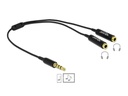 Delock Audio-Kabel Klinke 3.5mm, male - Klinke 3.5mm, female 0.25 m