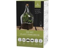 Esschert Design Vase Terrariumflasche 3 l 41 cm, Transparent