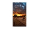 Samsung Videowall Display VM55B-U 55