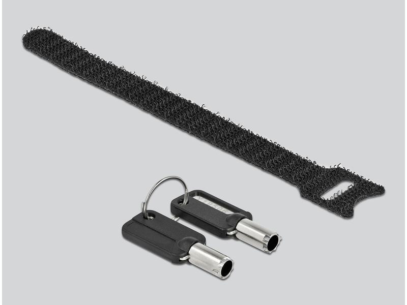 Delock Sicherheitsschloss mit Schlüssel für Nano Slot