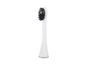 Ailoria Zahnbürstenkopf Shine Bright Charcoal Weiss, 6 Stück