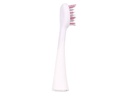 Ailoria Zahnbürstenkopf Shine Bright Extra Clean Weiss, 6 Stück