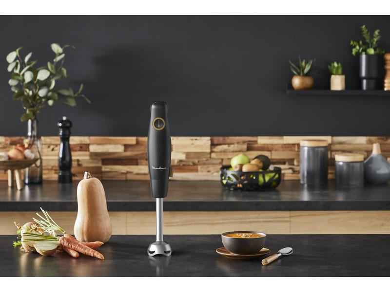 Moulinex Stabmixer Eco Respect Schwarz