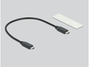 Delock Externes Gehäuse M.2 NVME zu USB USB3.2 Gen2 Typ-C 20Gbps