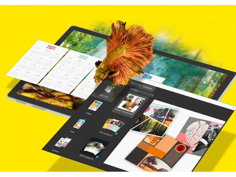 Corel PaintShop Pro 2023 ESD, Vollversion, Multilingual