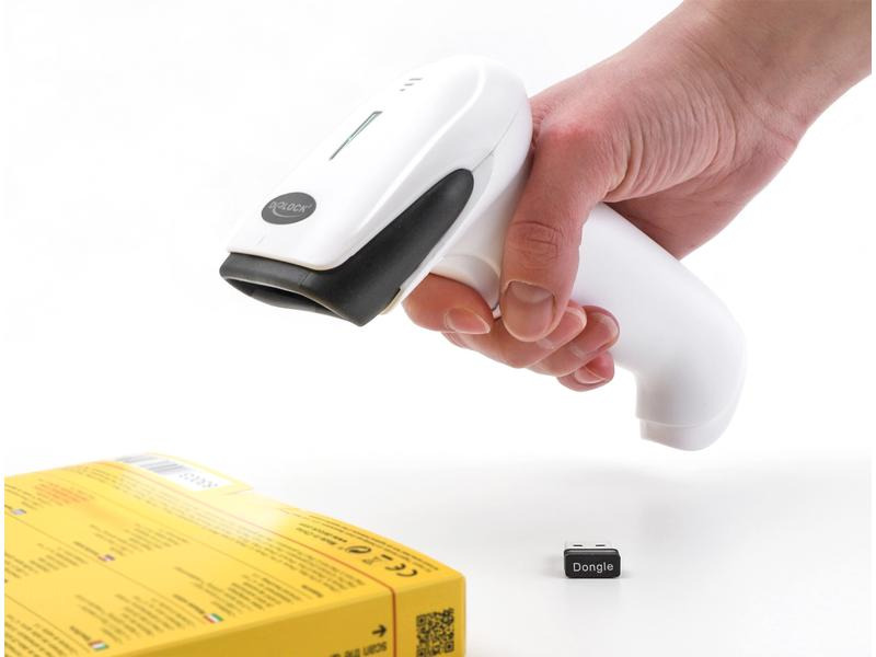 Delock Barcode Scanner 90587 2.4 GHz 1D/2D