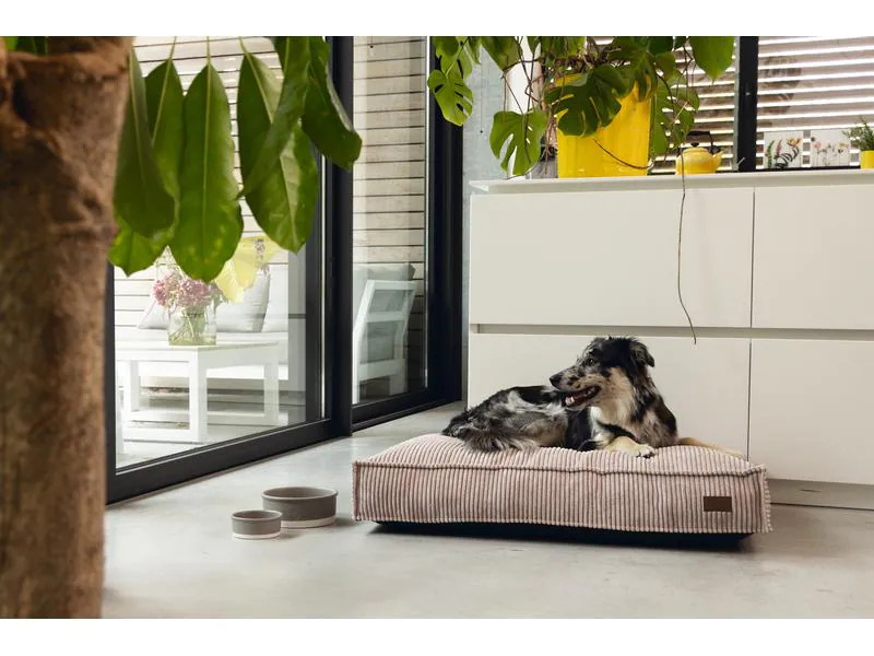 Designed by Lotte Hunde-Bett Ribbed Rosa 100x70x15cm