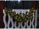 Star Trading LED-Girlande Ottawa, 150 cm