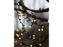 Star Trading LED-Lichterkette Berry Mini, 300 LED, 6 m, Outdoor