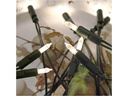 Star Trading LED-Lichterkette P-LED, 20 LED, 2.85 m, Indoor