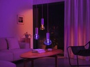 Philips Hue Leuchtmittel White &amp; Col. Amb. Lightguide, 6.5 W, Ellipse