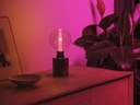Philips Hue Leuchtmittel White &amp; Col. Amb. Lightguide, 6.5 W, Ellipse