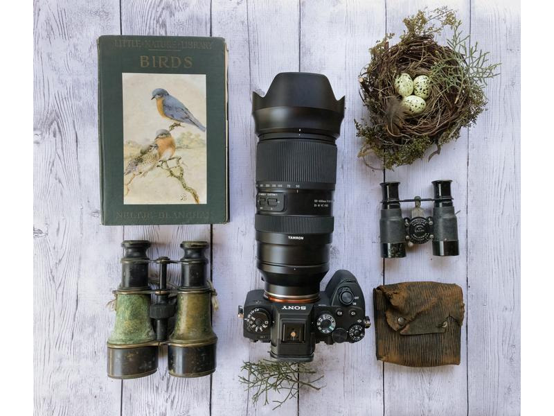 Tamron Zoomobjektiv AF 50-400mm F/4.5-6.3 Di III VC VXD Sony FE