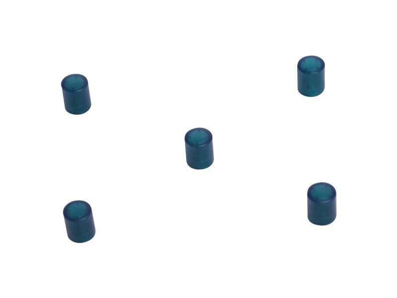 supermagnete Haftmagnet Zylindrisch 5 Stück, Grün/Transparent
