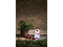 Star Trading LED-Figur Crystalo Rentier 30 LED, 28 cm, outdoor