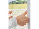 tesa Klebestreifen 0,2 kg für transparente Flächen