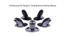 Fellowes Ergonomische Maus Penguin S Wireless