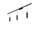 Philips Hue LED Pendelleuchte Perifo Basis-Set, 3 x 5.2 W, Schwarz